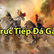 tructiepdaga