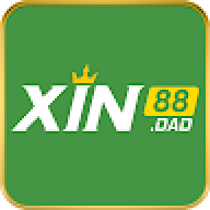 xin88dad