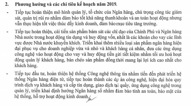 NH Bản Việt sau 6 năm bà Nguyễn Thanh Phượng rời ghế chủ tịch