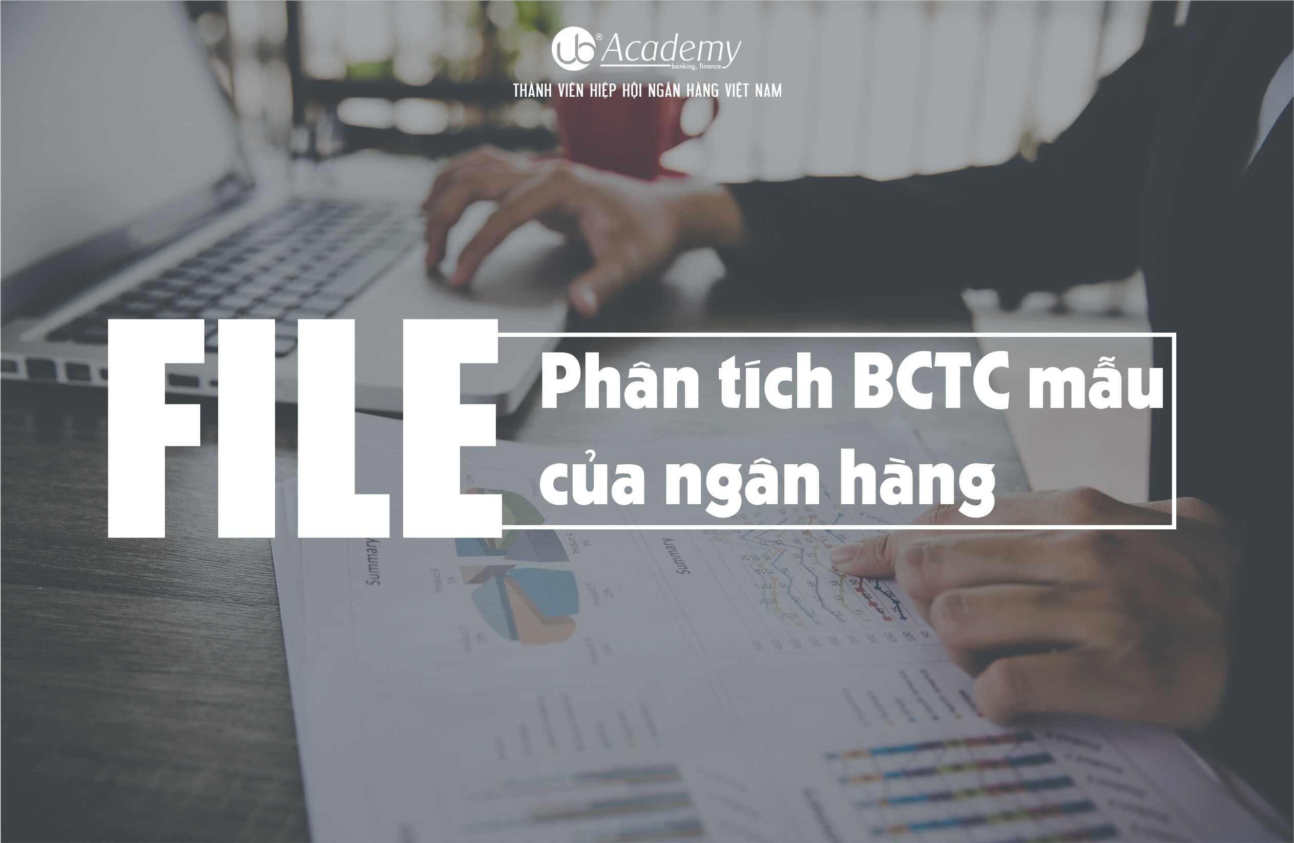 phân tích báo cáo tài chính mẫu của ngân hàng.jpg