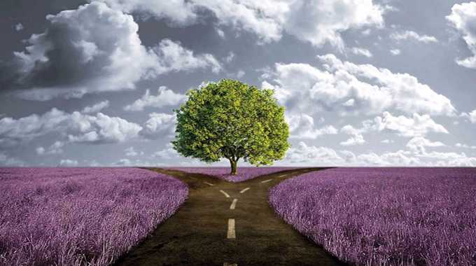 tree-path-karma(1).jpg