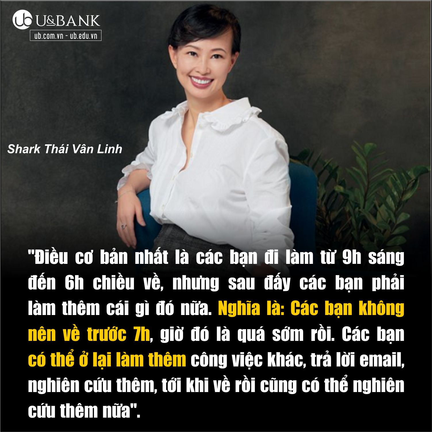 Shark linh.jpg