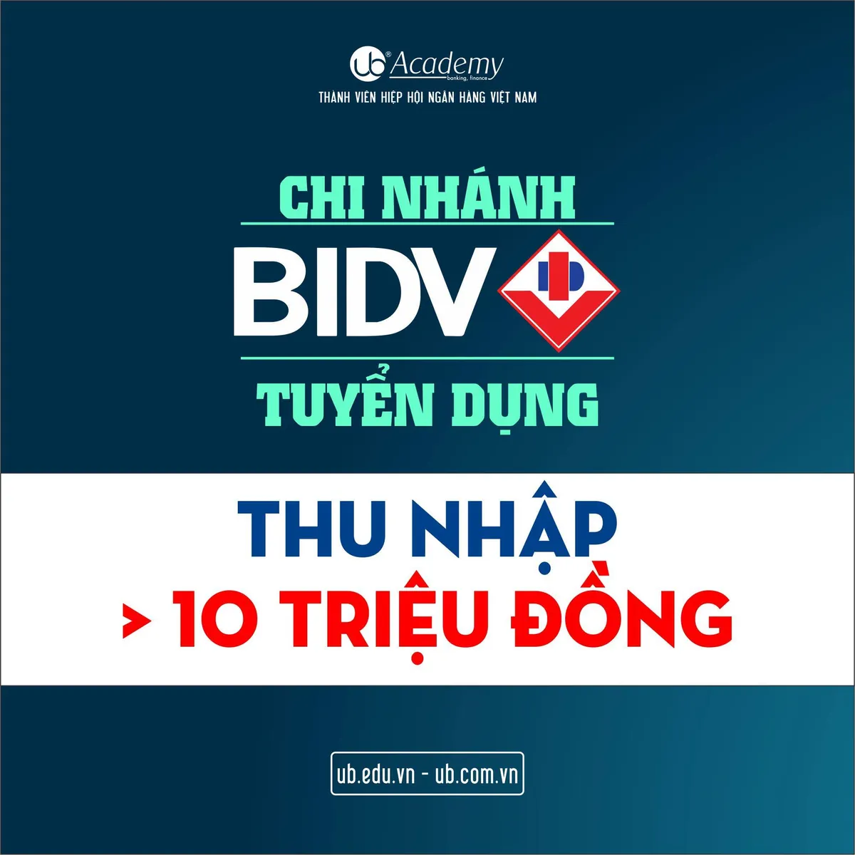 Ảnh minh họa – BIDV Trường Sơn tuyển dụng Ứng viên chưa có Kinh nghiệm