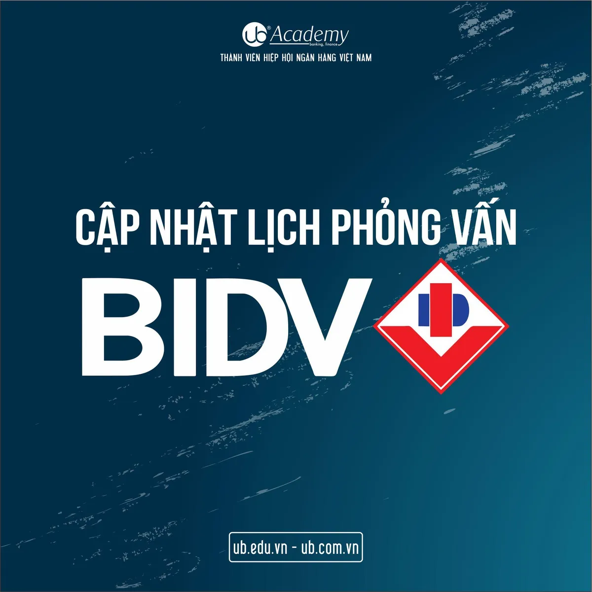 Ảnh minh họa – Cập nhật lịch Phỏng vấn BIDV đợt 2.2019