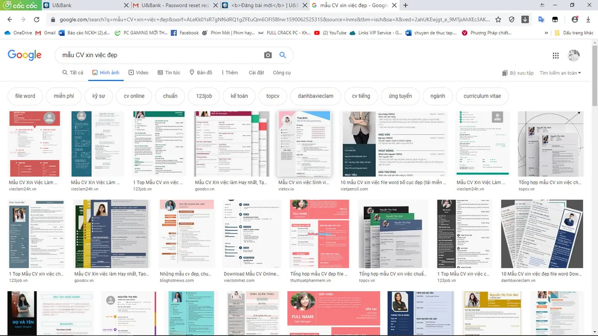 Ảnh minh họa – Nên chọn những mẫu CV đẹp trên mạng in ra xong điền ttin hay tự viết tay từ đầu đến cuối ạ?