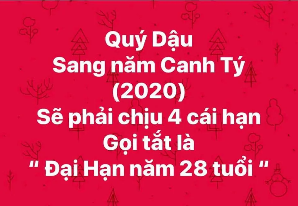 Ảnh minh họa – Quý dậu (1993) sang năm Canh Tý 2020