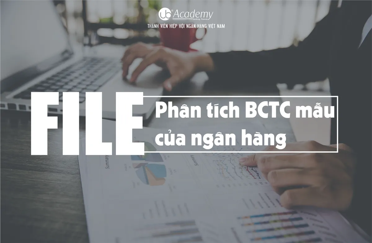 Ảnh minh họa – File phân tích báo cáo tài chính mẫu của ngân hàng
