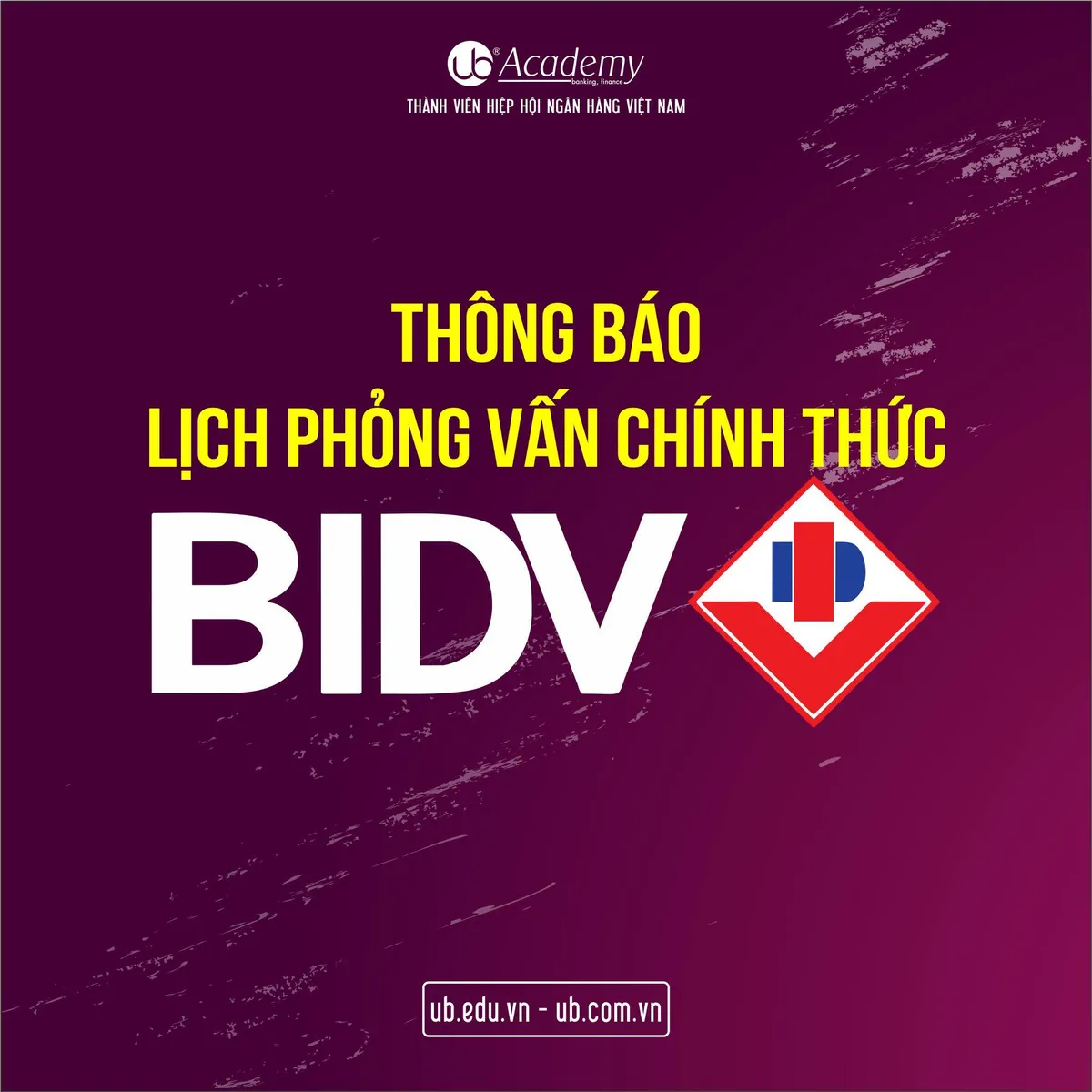 Ảnh minh họa – BIDV chính thức thông báo lịch Phỏng vấn đợt 2.2019