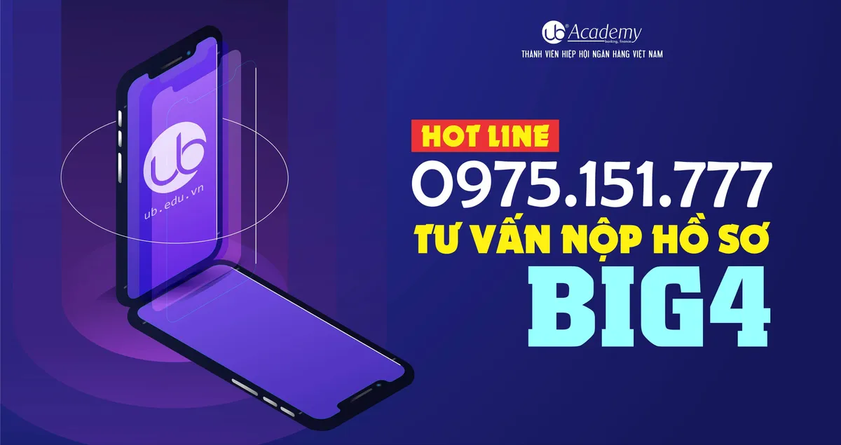 Ảnh minh họa – UB chính thức triển khai Hotline Tư vấn giải đáp Nộp hồ sơ Big4