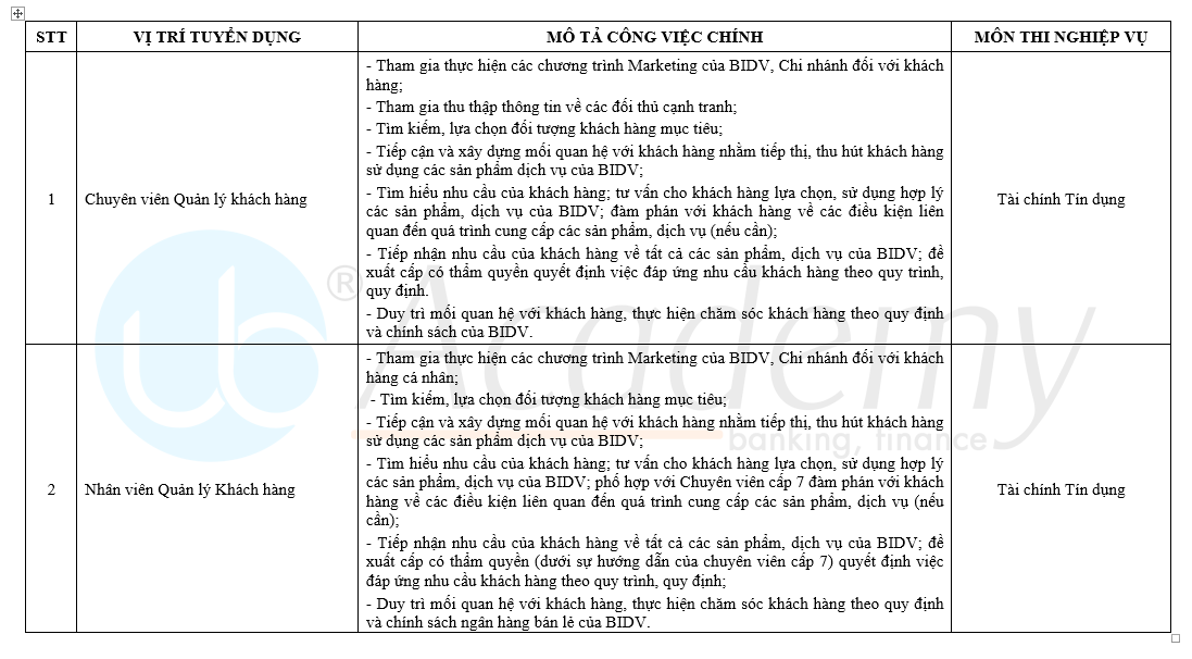Ảnh minh họa – Phân biệt Vị trí Chuyên viên & Nhân viên tại BIDV