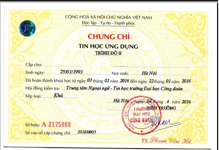 Ảnh minh họa – Phân biệt các loại chứng chỉ Tiếng Anh & Tin học nộp hồ sơ Big4