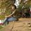 keo_bong