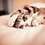 thu_phuong_411
