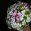 tinhtinh_1234